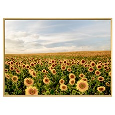 菠蘿選畫所 夏日金黃燦燦 向日葵田野風景畫 (59.4 x 42cm 畫框) BFEF4619D, 木色