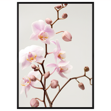 BOLUO GALLERY 菠蘿選畫所 沉醉清香 • 蘭花, BFFB3439B, 40 x 30cm, 黑色