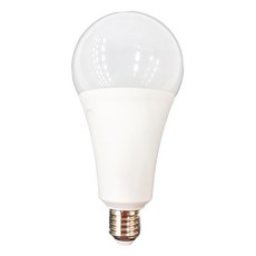 DANCELIGHT 舞光 LED全電壓燈泡 25W E27, 白光, 1個