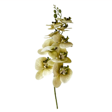 KUIBAO 快豹生活 Orchid仿真花 九頭膠片蝴蝶蘭, 抹茶綠, 6支