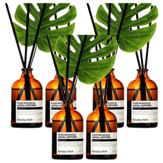 Nard Botanical Aroma 植物香氛擴香瓶(附裝飾龜背芋1入裝), Tea Tree Rosemary, 100ml, 6瓶