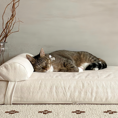 mooayou 四季床包 L 燕麥色 寵物床墊 透氣舒適 可拆洗, 1個