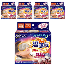 Hakugen Earth 白元 溫感眼罩 Set, 可重複使用365回, 5盒