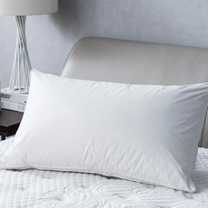 HOLA 和樂家居 四區功能型長效防螨羽絨枕, 白色, 1個