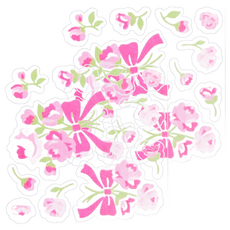 SANKO Okudake Kyuchaku 馬桶除臭貼 Set, 綠茶兒茶素消臭加工，貼上即可，可水洗, 2包, 30g