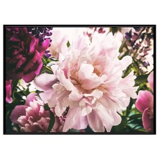 菠蘿選畫所 芍藥一朵留芳菲 BFFB3437B (40 x 30cm) 畫框 花卉藝術掛畫, 黑色