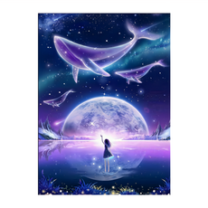 鑽石畫 ZSD3411, 銀河女孩, 1個