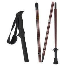 ATUNAS 歐都納 直把碳纖維四節折疊登山杖 A1WSGZ03N, 變色龍金, 1支