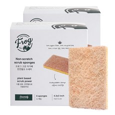 FROG 龍舌蘭纖維防刮菜瓜布 11x7.5公分 50%龍舌蘭纖維+50%可回收PET材質, 6入, 2盒