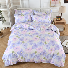 Blue Cat 藍貓 柔軟棉銀離子防蟎抗菌印花雙人薄被套, 香覓