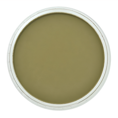 PANPASTEL 粉彩餅 220.1，粉質柔軟細緻, 1色, 1個