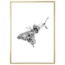 BOLUO GALLERY 菠蘿選畫所 蝶戀 掛畫 APFA3407G, 金色