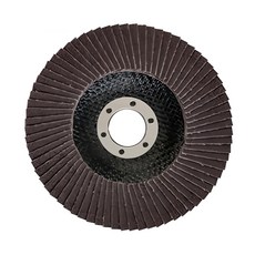 BOSCH 博世 台灣公司貨 100mm砂布輪 #80_2608601677, 1入