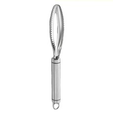 蕉蕉購物 304不鏽鋼刮魚鱗器, 銀色, 1支