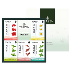 TEAZEN 茶禪 康普茶 綜合茶禮盒組 附提袋, 洛神花茶 + 洋甘菊茶 + 薄荷茶 + 香蜂草茶 + 伯爵紅茶, 1組