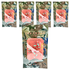 DR.GRANDMA 阿嬤的配方 台東紅烏龍黑足貼 緊繃適用, 2片, 5包