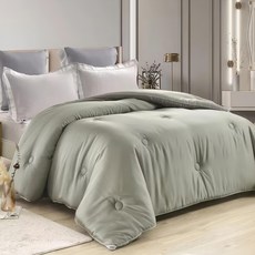 Betrise 貝翠絲 頂級300織紗萊賽爾纖維石墨烯科技抗菌羽絲絨暖冬被 - 薄荷綠 單人150x210cm, 單人 7 x 5尺