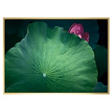 Boluo 菠蘿選畫所 青翠欲滴荷葉掛畫 清新居家裝飾 提升空間質感, 金色