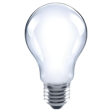 日亞 磨砂 100W燈泡 115V E-27燈帽, 1盒