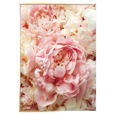 菠蘿選畫所 胭脂牡丹 BFFB3469G (40 x 30cm) 畫框 居家裝飾藝術畫作, 金色