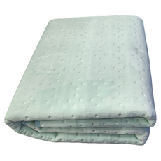 THOMSON 湯姆盛 石墨烯溫控雙人電熱毯 TM-SAW25B, 雙人