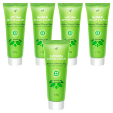 Jollyard 潔麗雅 麥蘆卡蜂蜜修護霜 75g, 5瓶