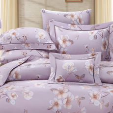 亞曼朵 60支 100%天絲 薄床包兩用被 Set 雙人