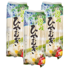 Sanuki Shisei 讚岐 涼麵, 800g, 3包