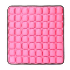 Craftsman In Storage 收納職人 5D反重力減壓氣囊坐墊 附打氣筒 萊卡複合高密度TPU面料, 螢光粉