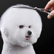 Babion 寵物 EL 7 20度彎曲美容剪刀 19cm E2-701C, 1個, 單色