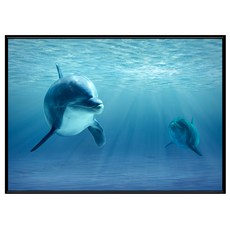 菠蘿選畫所 海豚微笑掛畫 框架 - 海洋清新風格, 59.4 x 42cm, 黑色