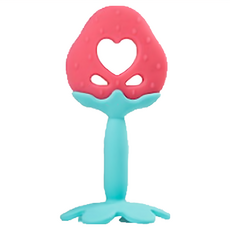 tgm 水果矽膠咬牙固齒器 附收納盒 - 西瓜/草莓/蘋果/葡萄, 固齒器 + 收納盒, 1組