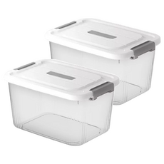 手提收納箱 加厚PP材質 防塵防潮 結實耐用, 加大(40 x 29 x 21cm), 透明色, 2個