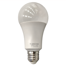 TRUNK 壯格 LED節能球泡 16W, 6500K/晝光色, 1個