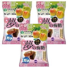 梅子夢工廠 夢之梅糖, 100g, 3袋