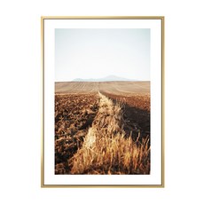 秋收 II 風景掛畫, 金色, 1個