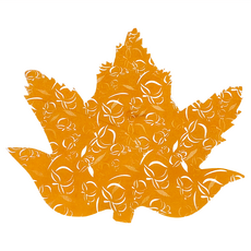 Ideal Wrapping 毅典 楓葉麻糬紙 200個 食品調理用一次性用紙 L120, 橘色, 1組