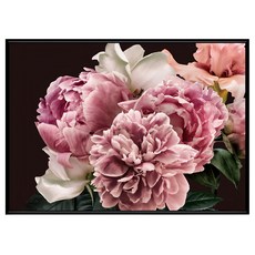 菠蘿選畫所 雍容華貴 牡丹III BFFB3429B (40 x 30cm 畫框) 居家裝飾藝術畫, 黑色