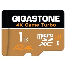 GIGASTONE 立達 MicroSDXC U3 A2 4K 記憶卡, 1TB, 1個