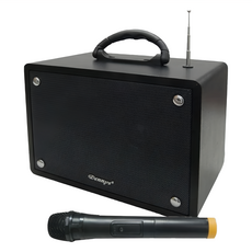 Dennys 丹尼斯 USB SD FM藍芽多功能擴大音箱 無線麥克風版, WS-350BT, 黑色手持麥克風