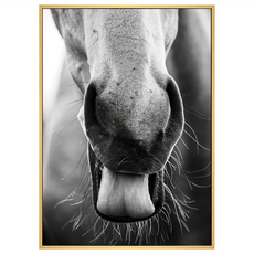 菠蘿選畫所 噴嘶的鼻息 ANSS3407D 掛畫 40 x 30cm 框 - 黑白馬匹攝影藝術, 木色