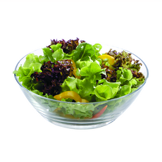 Ocean Glass 索諾瑪沙拉缽，10吋，3入組, 透明, 1組