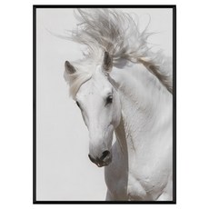 BOLUO GALLERY 菠蘿選畫所 白馬 無束 ANSS3411B 掛畫, 黑色