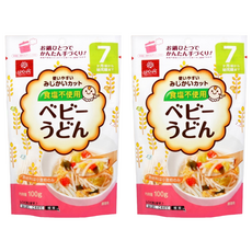 Hakubaku 烏龍麵 幼兒用 7個月以上寶寶適用 無加鹽 小麥製, 100g, 2包