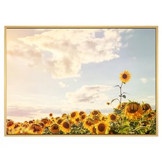 Boluo 菠蘿選畫所 徜徉花海 向日葵III BFEF3411D 40 x 30cm 框畫 居家裝飾藝術品, 木色