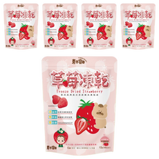 YUMMY BABY 芽米寶貝 S01 芽米草莓凍乾 1歲以上寶寶健康零食, 12g, 5包