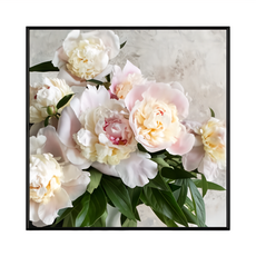 Boluo 菠蘿選畫所 奶油粉紅牡丹 藝術畫 PS環保樹酯框 + 油畫布 + 松木內框, 黑色