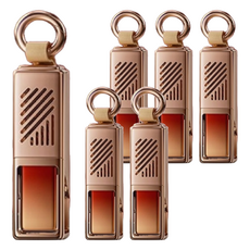 Lisen 李森 車載掛式香薰 鋅合金+磁鐵+ABS 家用, 6個, 茶影禪思