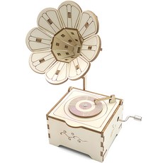 Teachers STEAM 復古音樂盒留聲機製作組 R-55, 1套