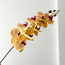 KUIBAO 快豹生活 Orchid 九頭膠片蝴蝶蘭仿真花, 黃色, 6支